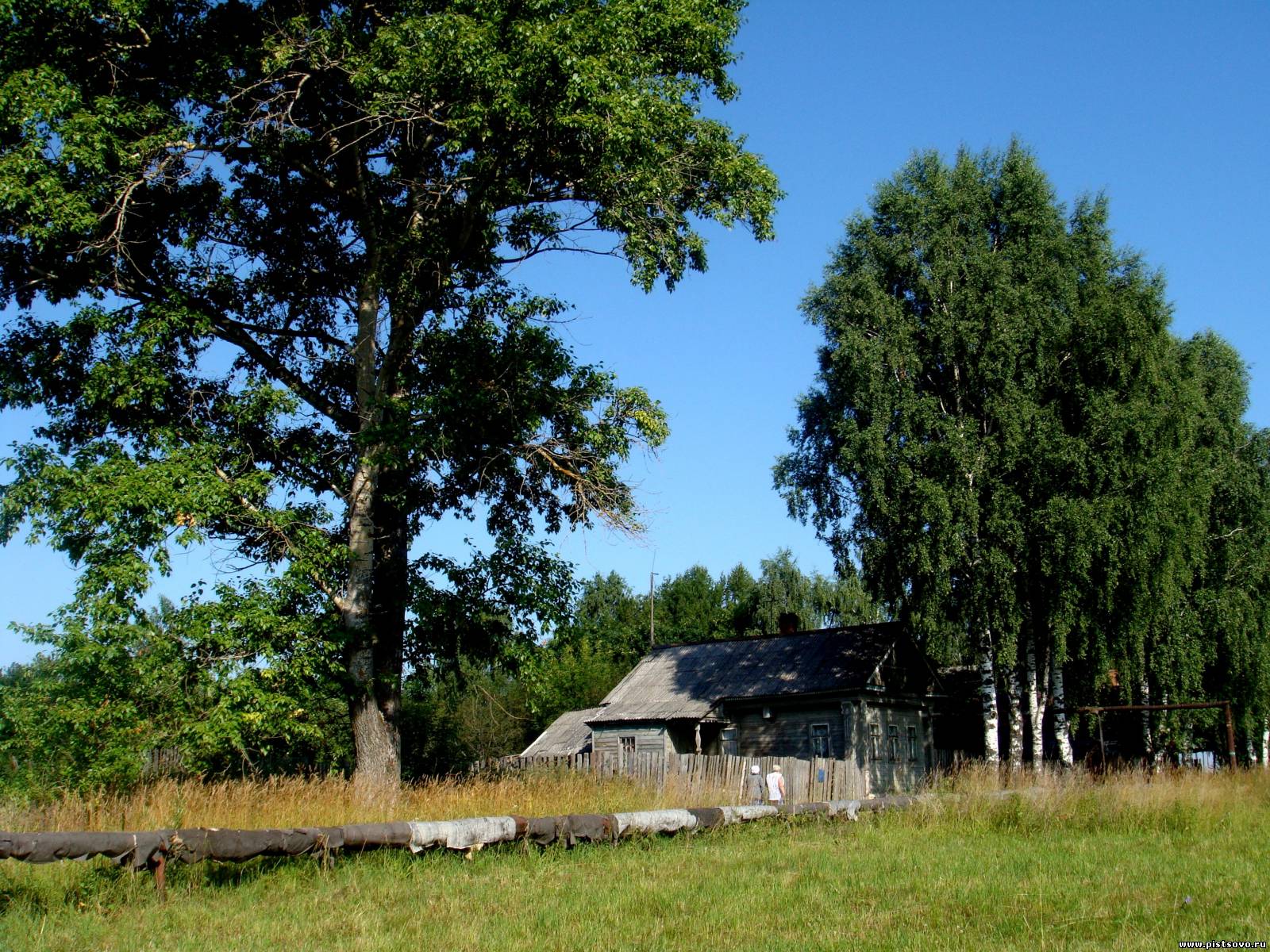 Село Писцово Фото